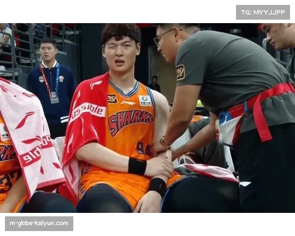 王哲林伤退影响上海内线 阵容深度面临季后赛考验